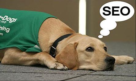 哪些類(lèi)型的改動(dòng)會(huì )影響到網(wǎng)站的seo？