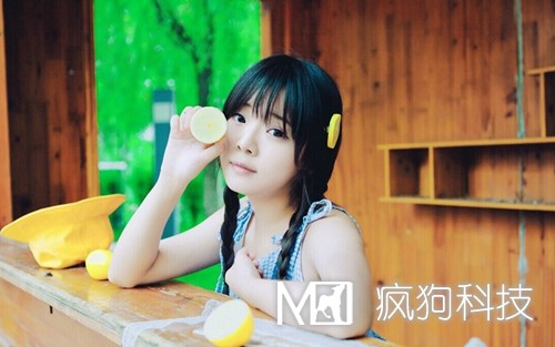 SEO與SEM如何作抉擇？