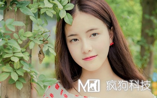 2017年網(wǎng)站推廣的20個(gè)方法策略？