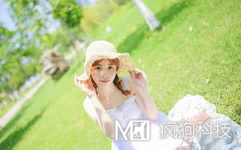 網(wǎng)站SEO優(yōu)化中應該查看哪些數據？