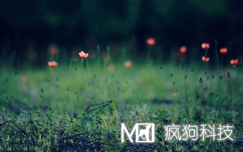 如何提高網(wǎng)站粘度，增加網(wǎng)站回頭客？