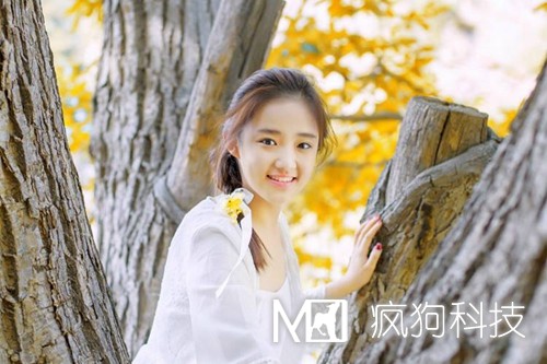 網(wǎng)站優(yōu)化中的死鏈是如何產(chǎn)生的？