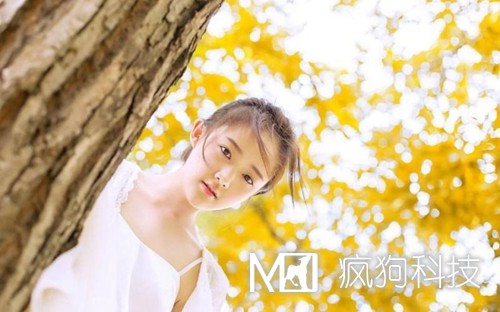 收藏：快速頁(yè)面收錄的六大絕技！