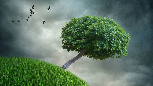 對于網(wǎng)站重復類(lèi)型的優(yōu)化方案